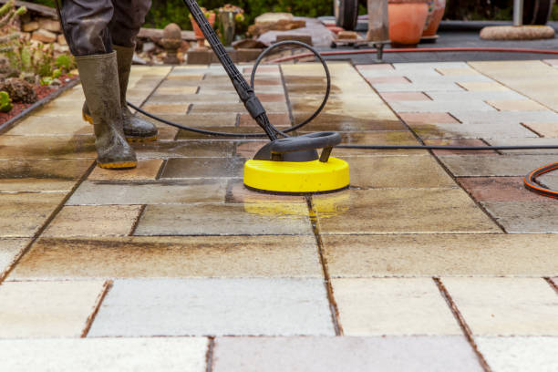 Best Animal Enclosure Cleaning  in Cambridge, OH